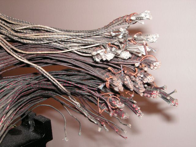 Verkleinertes Bild [PICT1368.JPG - 65kB]